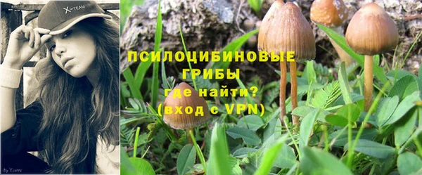 ПСИЛОЦИБИНОВЫЕ ГРИБЫ Алексеевка