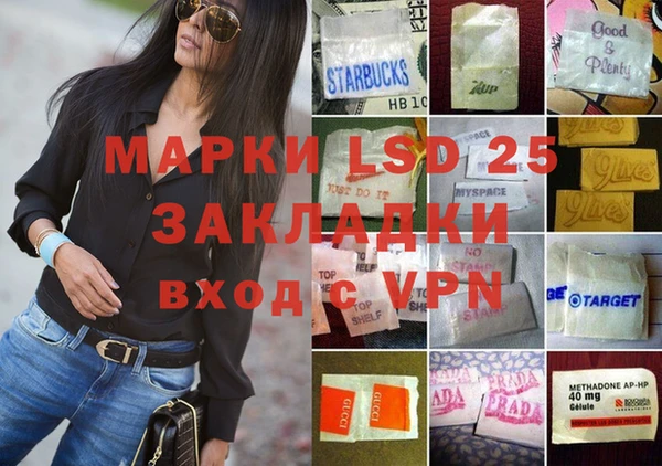 ПСИЛОЦИБИНОВЫЕ ГРИБЫ Алексеевка