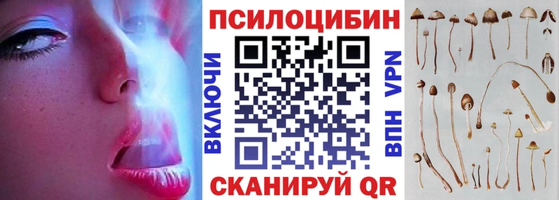 Псилоцибиновые грибы Psilocybine cubensis  продажа наркотиков  Шадринск 
